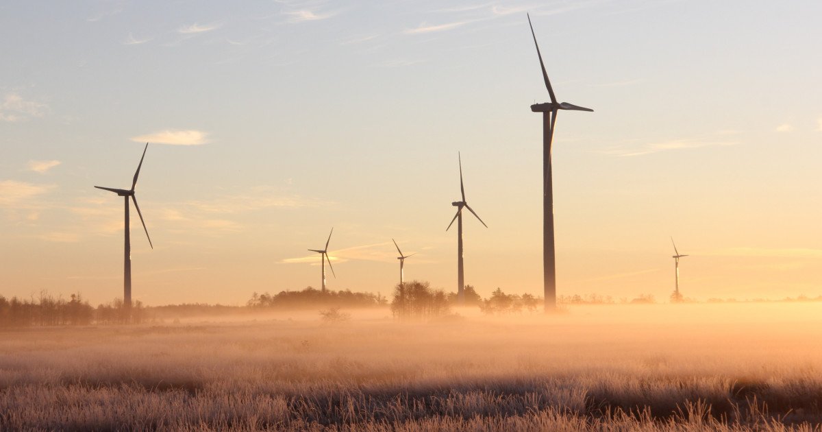 Windmills, a good wind still blows